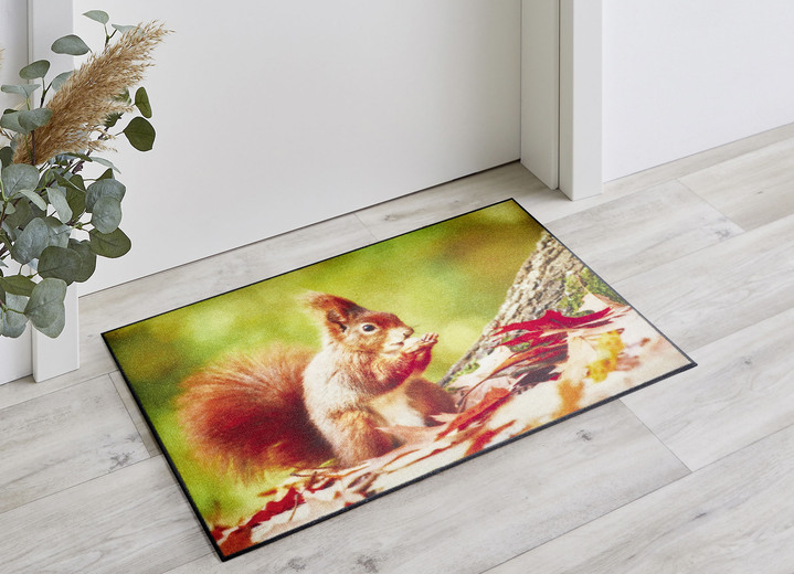 Fußmatten - Fußmatte  mit Eichhörnchen-Motiv, in Farbe BUNT