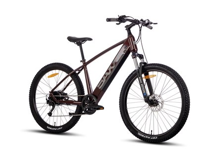 E-Mountainbike Everest 5.0