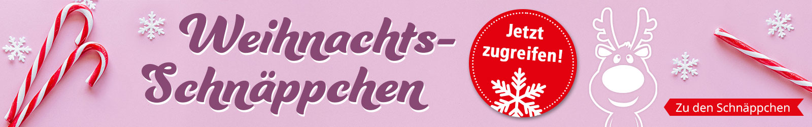 Greifen Sie zu bei unseren Weihnachts-Schnäppchen!